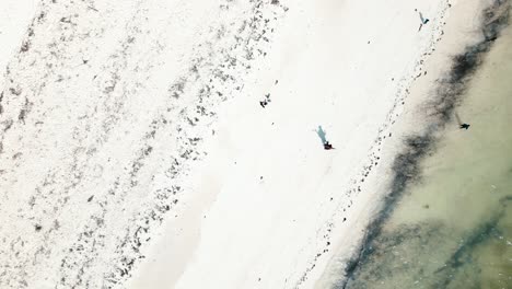 4K-Flugdrohnenaufnahme-Des-Kiwengwa-Strandes,-Umspült-Von-Türkisfarbenen-Wellen-Des-Indischen-Ozeans