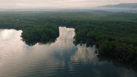 Unglaubliche-Aufnahme-Eines-üppigen-Mangrovenwaldes-Entlang-Der-Küste-Des-Nationalparks-Los-Haitises-Bei-Sonnenuntergang,-Dominikanische-Republik