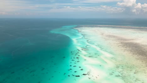 4K-Aufnahmen-Von-Fliegenden-Drohnen-über-Der-Küste-Mit-Weißen-Sandbänken-Mit-Wunderschönen-Transparenten-Wellen,-Die-Das-Korallenriff-Atoll-In-Der-Nähe-Der-Insel-Mnemba,-Tansania,-Umspülen