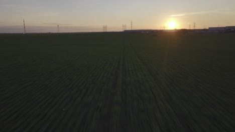 Aerial-flyover-green-fields-in-nature-during-golden-sunset-time