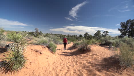 Back-View-of-Young-Woman-With-Backpack-Walking-in-Desert-on-Path-in-Sand,-Wide-View