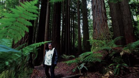 Drone-Follows-Girl-Through-California-Redwood-Forest,-Under-Tree-Ferns-2