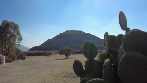 Fesselnder-Blick-Auf-Einen-Hoch-Aufragenden-Kaktus-Im-Vordergrund-Und-Die-Ikonische-Sonnenpyramide-Von-Teotihuacan-Im-Hintergrund