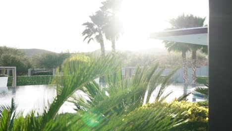 Slowmotion-revealing-shot-of-a-private-pool-with-bright-foliage-with-sun-flares