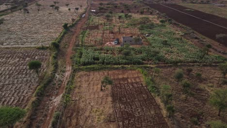 Drohne-In-Ländlichen-Bauernhöfen-Kenias