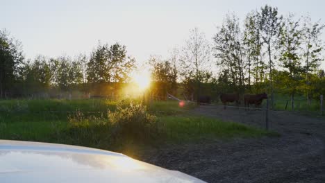Zeitlupen-Sonnenuntergang-Auf-Einer-Grünen-Weide-über-Der-Motorhaube-Eines-Bauernlastwagens