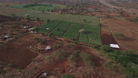 Granjas-En-Asentamientos-Rurales-De-Kenia