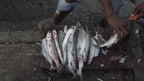 Draufsicht-Der-Hände-Eines-Farbigen-Mannes,-Der-Fische-Auf-Einem-Straßenfischmarkt-In-Buenaventura,-Kolumbien,-Reinigt
