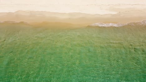 Meereswelle-An-Einem-Sandstrand