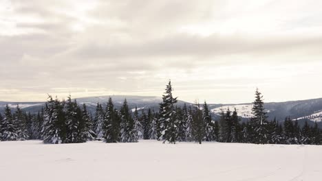 Tannenbäume-Wachsen-Im-Winter-Auf-Dem-Gipfel-Des-Berges-An-Sonnigen-Und-Bewölkten-Tagen-In-Tschechien,-Europa