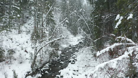 Hoher-Ausleger-über-Einem-Kleinen-Bach,-Der-Durch-Schneebedeckten-Wald-Fließt