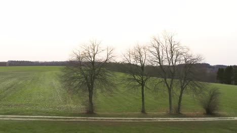 Bäume-–-Langsame-Und-Sanfte-Schwenkaufnahme-Einer-Drohne-Entlang-Einer-Landstraße-Mit-Bäumen-Und-Der-Blick-über-Ein-Weites-Grünes-Feld-Mit-Einer-Scheune-Im-Hintergrund