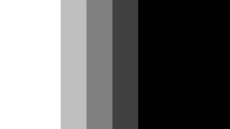 Paleta-Mezcla-Negro-Gris-Sólido-Movimiento-Animación-Transición