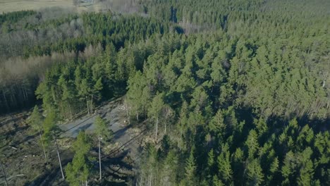 Areal-shot-over-a-swedish-forest
