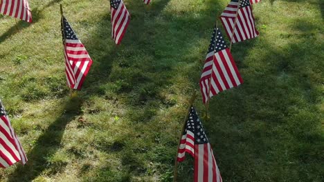 Reihen-Der-USA-Flaggen-Auf-Dem-Rasen-Im-Schatten-Des-Baumes