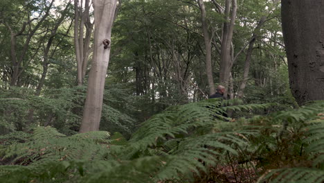 Male-Walking-Through-Forest,-Left-To-Right