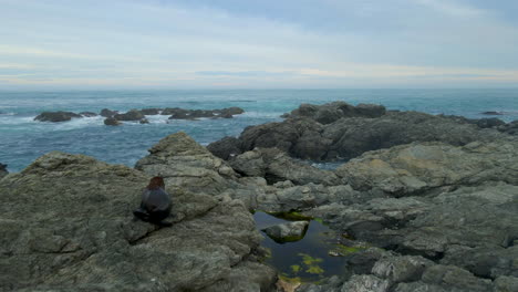 New-Zealand-fur-seal-climbing-up-the-rocky-sea-shore-on-Kaikoura-coast