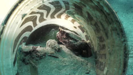 Eine-Kleine-Krabbe-Findet-In-Einer-Weggeworfenen-Kaffeetasse-Unter-Wasser-Auf-Dem-Meeresboden-Ein-Zuhause-Und-Schutz