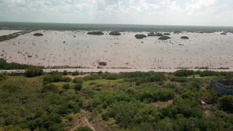Drone-view-of-Yucatan-Shoreline-in-Mexico