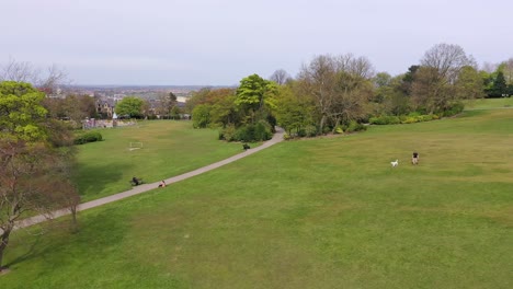 Blissful-dog-walks-at-Locke-Park-Barnsley-aerial