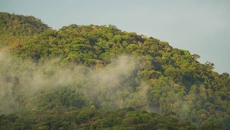 Lapso-De-Tiempo-De-Niebla-Brumosa-Sobre-La-Montaña-Del-Bosque-Atlántico-En-Petropolis,-Río-De-Janeiro