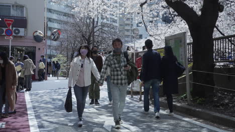 Menschen,-Die-Während-Des-Hanami-Während-Der-Pandemie-In-Tokio,-Japan,-Masken-Tragen