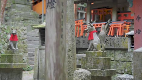 Guardian-Foxes-at-Fushimi-Inari-Shrine,-Pan-Establishing-Shot