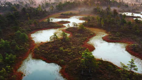 Aerial-shot-of-a-misty-and-saturated-swamp