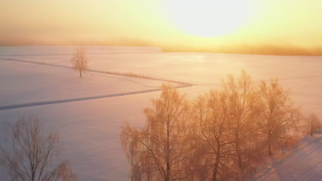 Aerial-passage-over-white-countryside-fields-during-a-foggy-winter-sunrise