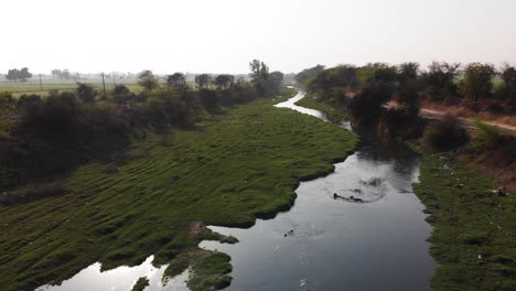 Water-from-factory-waste-making-its-own-way-and-crossing-through-fields-near-the-road