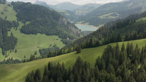 Luftaufnahme-Einer-Wunderschönen-Grünen-Hügellandschaft-In-Der-Schweiz