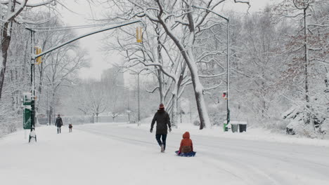 Man-Pulls-Boy-On-Sled-In-Central-Park-New-York-City-In-Snowfall