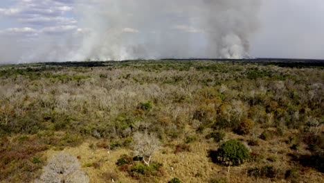 Smoke-rising-along-the-horizon-of-the-Brazilian-Pantanal-and-deforestation-fires-burn-the-vegetation---aerial-view