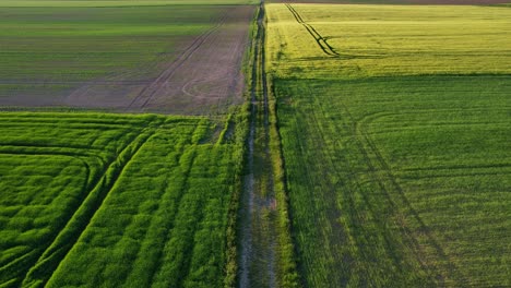 Overhead-view-of-a-rural-road-with-fields-crops-on-both-sides-near-the-town-of-Svitavy