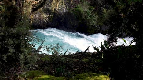 Glimpse-of-whitewater-rapids-through-fauna-on-the-Waikato-River-at-Huka-Falls-in-Taupo,-New-Zealand-Aotearoa