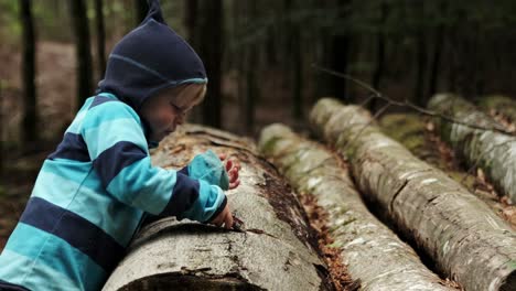 Young-boy-cutting-the-bark-of-a-log-with-a-Swiss-army-knife