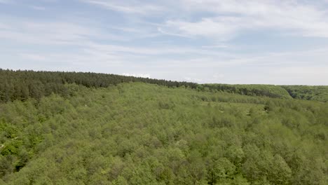 Ecosistema-Forestal-En-El-Hermoso-Campo-Natural-En-Las-Montañas-De-Ucrania,-Aéreo