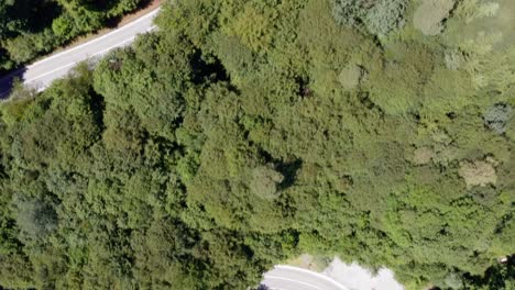 Flight-over-green-treetops-with-a-bending-road-and-driving-cars-on-it---top-shot-from-a-drone-in-4K-at-summertime