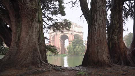 The-Palace-of-Fine-Arts-in-between-two-trees