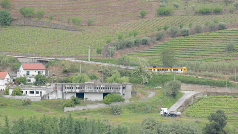 Malerische-Zugfahrt-Durch-Das-Douro-Tal-Und-Wohnhäuser