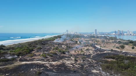 Fire-destroys-a-section-of-critically-endangered-littoral-rainforest-and-coastal-vegetation-close-to-a-city-skyline