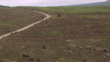 Locals-use-the-road-on-the-remote-mountains-riddled-with-sugarcane-plantations