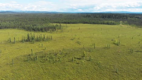 4K-Drone-Video-of-Summer-Wilderness-Forest-near-Fairbanks,-Alaska