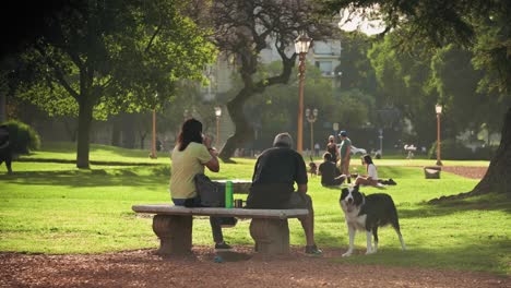 Couple-with-their-border-collie-dog-in-park-drinking-mate-tea