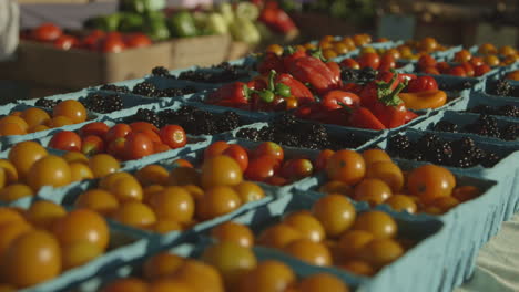 Frische-Sonnengoldene-Tomaten,-Brombeerfrüchte-Und-Rote-Paprika-Zum-Verkauf-Auf-Dem-Bauernmarkt-In-Durham,-North-Carolina