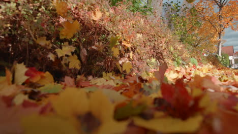 Beautiful-autumn-foliage-falling-alongside-road-inside-isolated-village-in-Schönaich-Germany,-Europe