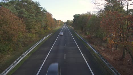 Vehicles-Driving-At-Asphalt-Road-Surrounded-With-Trees-During-Fall-Season-In-Netherlands