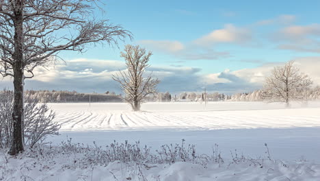 Hyperlapse-of-dramatic-clouds-in-a-blue-sky-with-open-winter-landscape-and-view-of-fields-surrounded-by-forests