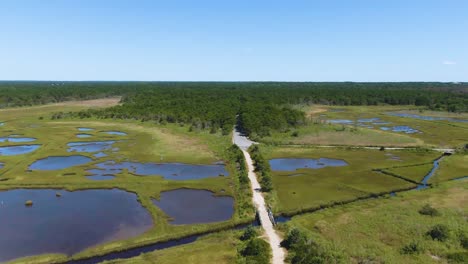 Aerial-view-of-the-national-park-landscape,-research-reserve,-wetland-and-forest