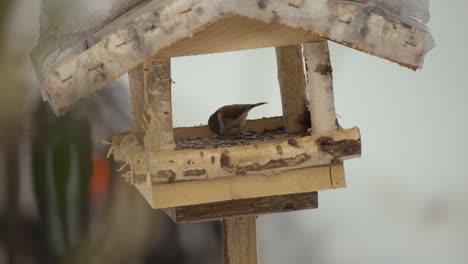 Close-up-video-of-birds-in-a-birdhouse-flying,-eating,-and-looking-for-food-in-wintertime-with-nature-covered-in-snow,-video-in-4k-in-120fps